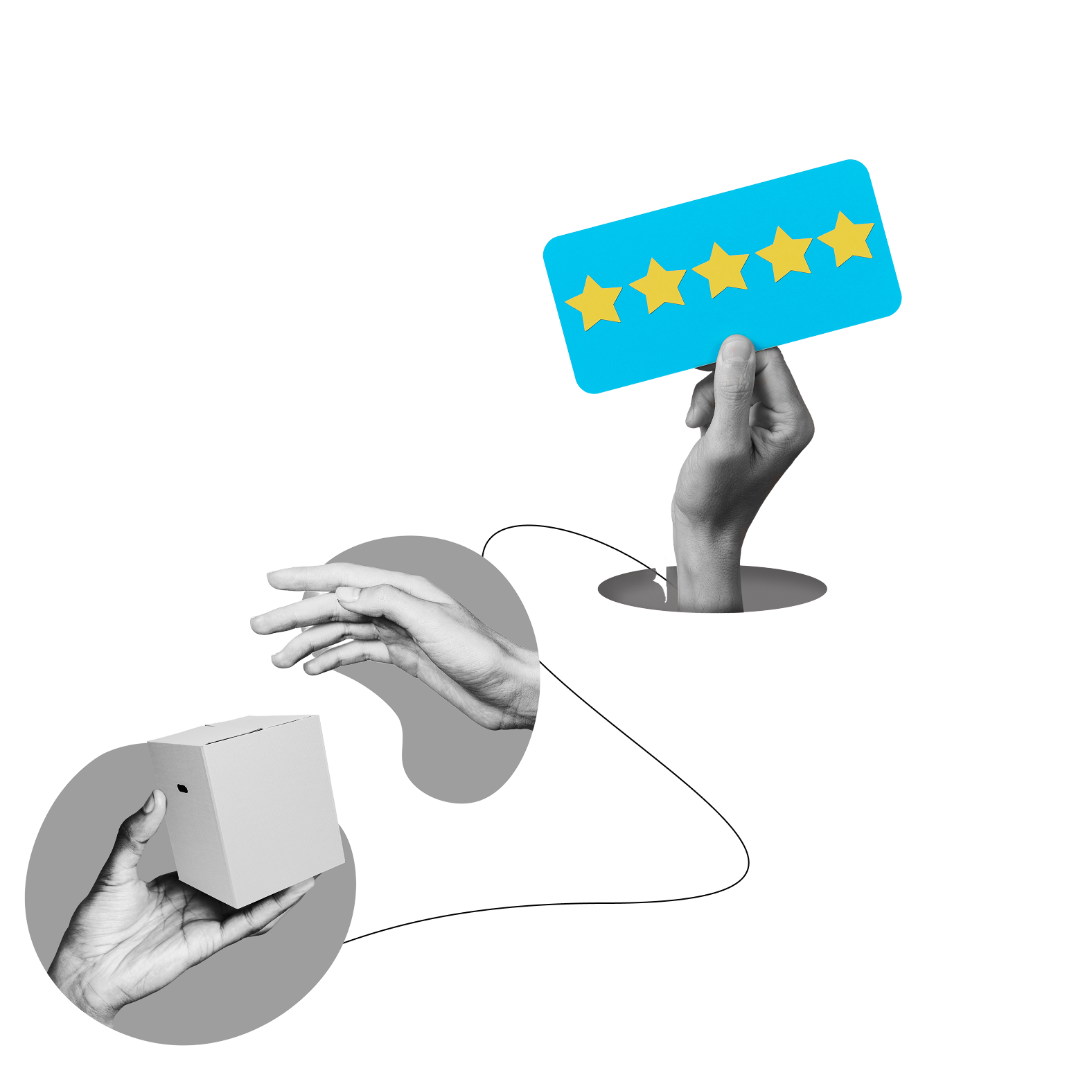 Next Steps in CX Leader's Roadmap - Collect customer feedback, analyze experiences, benchmark CX maturity, and drive continuous improvement